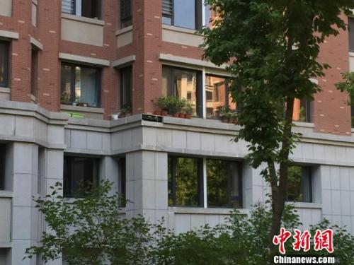 哈尔滨一小区发生墙砖脱落事故致七旬老人身亡。　于琨 摄